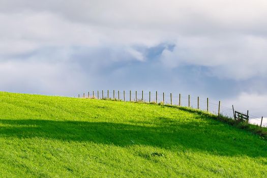 Green fields and fences