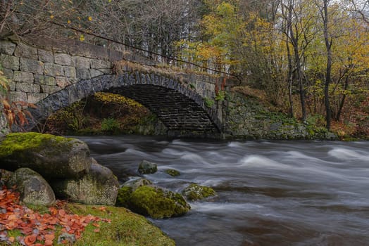 An old bridge used as the main road nearly one hundred years ago. Today it is forgotten and overgrown in the forest