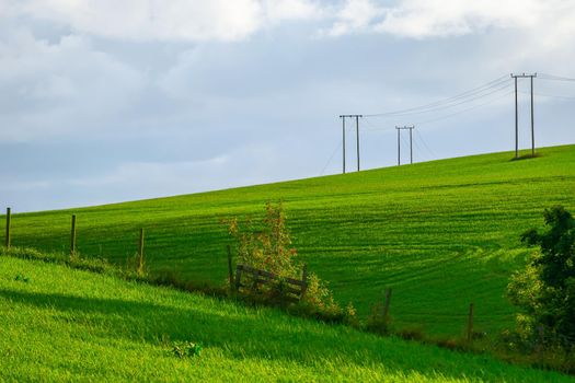 Green fields in contrast to modern power lines