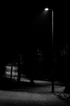 Pathway in the forrest lighted only by street lights