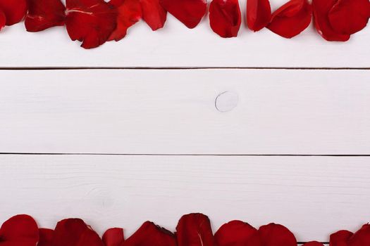 Rose petals on white wooden table.