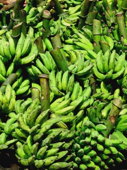 salvador, bahia / brazil - eeptember 11, 2005: Bananas are seen for sale at a free market in the city of Salvador