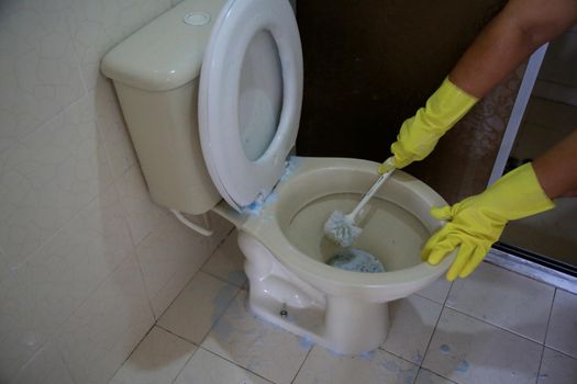 salvador, bahia, brazil - february 21, 2021: person wearing a rubber glove while cleaning a bathroom toilet in a residence in the city of Salvador.