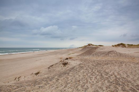 Holmsland Dunes next to Hvide Sande in Denmark has 40 km sandy beaches. Holmsland Dunes is the epitome of beaches, dunes, sun, wind and especially clean air.West Jutland, Denmark.