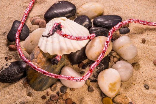 pink rope, plastic pollution on a beach with mussel and stones