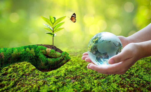 Concept Save the world save environment The world is in the grass of the green bokeh background