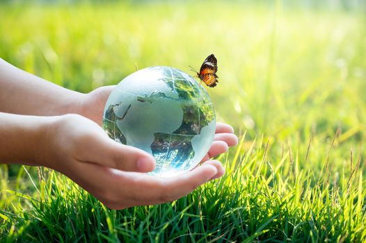 A man with a glass globe Concept day earth Save the world save environment The world is in the grass of the green bokeh background