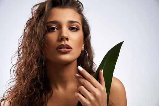 Front view portrait of attractive young woman with curly hair and with trendy makeup holding tropical green leaf. Concept of fashion shooting on professional studio. 