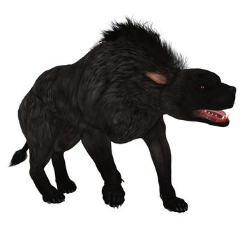 The Warhound also called Hellhound is the mythical dog that guards the gates of Hell with glowing red eyes.