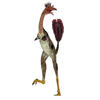 Mononykus was a carnivorous theropod dinosaur that lived in Mongolia during the Cretaceous Period.