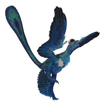 Microraptor was a carnivorous four-winged reptile bird that lived in Mongolia, China during the Cretaceous Period.