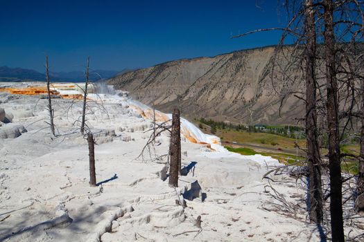 Mammoth Hot Springs is a large complex of hot springs on a hill of travertine in Yellowstone National Park. Wyoming, USA.