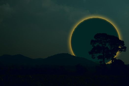 Ring lunar eclipse back silhouette tree and mountain on the night sky