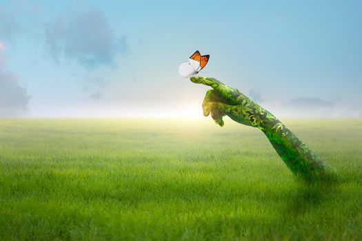 Green hand holding beautiful butterfly in green field. Nature Concept.