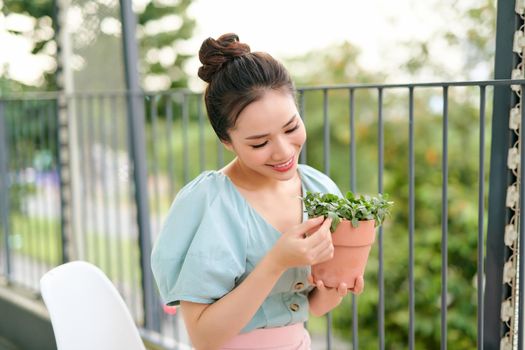 Green plants in pot in beautiful happy asian woman hands on balcony at apartment in the morning 