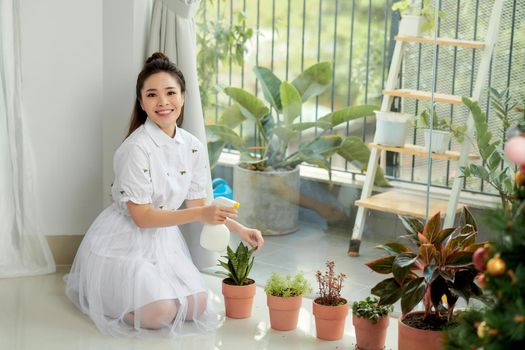 Woman caring for house plant. 