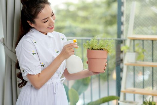 A woman is watering and spraying home plants. Concept of home garden. Spring time.Taking care of home plants.