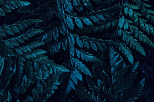 Blue plant leaves at night as surreal botanical background, minimal design backdrop