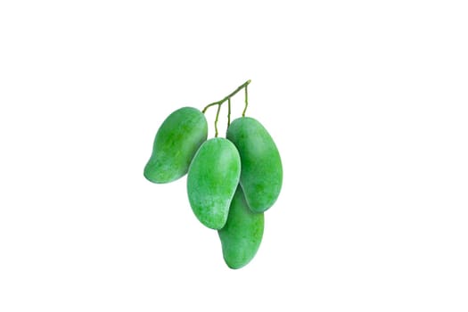 Group of raw mango in the same bunch isolated on white background.