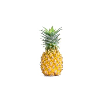 Ripe pineapple isolated on white background.