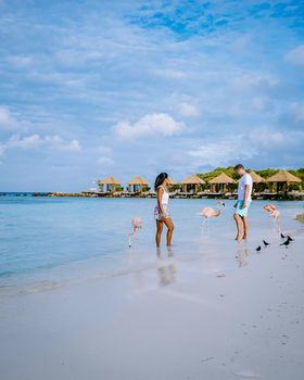 Aruba beach with pink flamingos at the beach, flamingo at the beach in Aruba Island Caribbean. A colorful flamingo at beachfront, couple men and woman on the beach mid age man and woman