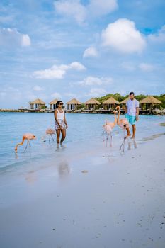 Aruba beach with pink flamingos at the beach, flamingo at the beach in Aruba Island Caribbean. A colorful flamingo at beachfront, couple men and woman on the beach mid age man and woman