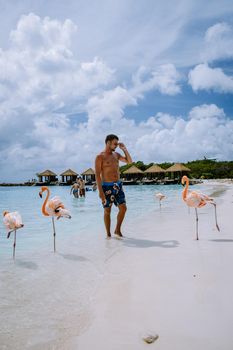 Aruba March 2021 beach with pink flamingos at the beach, flamingo at the beach in Aruba Island Caribbean. A colorful flamingo at beachfront, Renaissance Island Aruba 