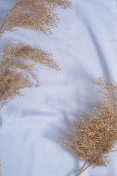 Blue neutral colored textile, linen fabric near to decor dry pampas grass