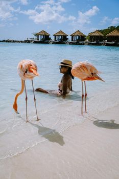 Aruba beach with pink flamingos at the beach, flamingo at the beach in Aruba Island Caribbean. A colorful flamingo at beachfront, woman on the beach with flamingos