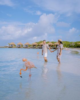 Aruba beach with pink flamingos at the beach, flamingo at the beach in Aruba Island Caribbean. A colorful flamingo at beachfront, couple men and woman on the beach mid age man and woman