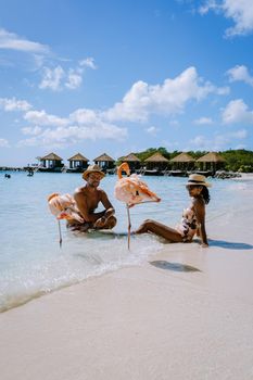 Aruba beach with pink flamingos at the beach, flamingo at the beach in Aruba Island Caribbean. A colorful flamingo at beachfront, couple men and woman on the beach mid age man and woman