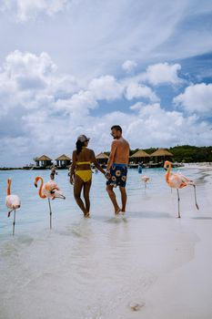 Aruba beach with pink flamingos at the beach, flamingo at the beach in Aruba Island Caribbean. A colorful flamingo at beachfront, couple men and woman on the beach mid age man and woman