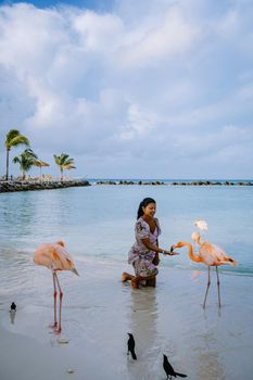 Aruba beach with pink flamingos at the beach, flamingo at the beach in Aruba Island Caribbean. A colorful flamingo at beachfront, woman on the beach with flamingos