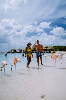 Aruba beach with pink flamingos at the beach, flamingo at the beach in Aruba Island Caribbean. A colorful flamingo at beachfront, couple men and woman on the beach mid age man and woman