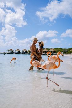 Aruba beach with pink flamingos at the beach, flamingo at the beach in Aruba Island Caribbean. A colorful flamingo at beachfront, couple men and woman on the beach mid age man and woman