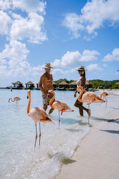 Aruba beach with pink flamingos at the beach, flamingo at the beach in Aruba Island Caribbean. A colorful flamingo at beachfront, couple men and woman on the beach mid age man and woman