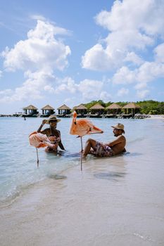 Aruba beach with pink flamingos at the beach, flamingo at the beach in Aruba Island Caribbean. A colorful flamingo at beachfront, couple men and woman on the beach mid age man and woman