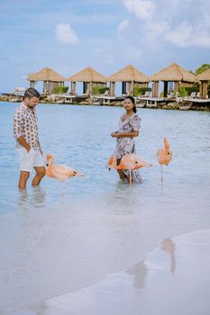 Aruba beach with pink flamingos at the beach, flamingo at the beach in Aruba Island Caribbean. A colorful flamingo at beachfront, couple men and woman on the beach mid age man and woman