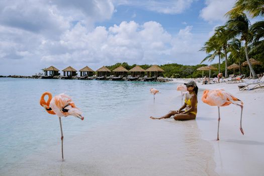 Aruba beach with pink flamingos at the beach, flamingo at the beach in Aruba Island Caribbean. A colorful flamingo at beachfront, couple men and woman on the beach mid age man and woman