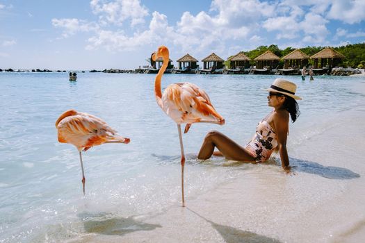 Aruba beach with pink flamingos at the beach, flamingo at the beach in Aruba Island Caribbean. A colorful flamingo at beachfront, woman on the beach with flamingos