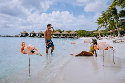 Aruba beach with pink flamingos at the beach, flamingo at the beach in Aruba Island Caribbean. A colorful flamingo at beachfront, couple men and woman on the beach mid age man and woman