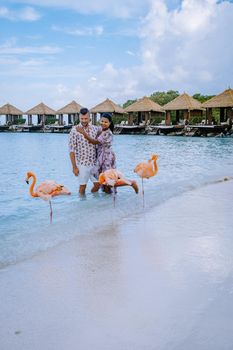 Aruba beach with pink flamingos at the beach, flamingo at the beach in Aruba Island Caribbean. A colorful flamingo at beachfront, couple men and woman on the beach mid age man and woman