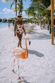 Aruba beach with pink flamingos at the beach, flamingo at the beach in Aruba Island Caribbean. A colorful flamingo at beachfront, woman on the beach with flamingos