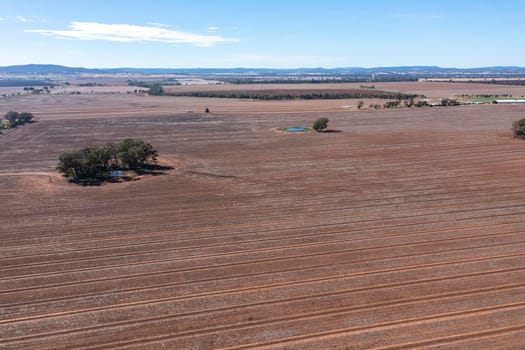 Drone aerial photograph of burnt agricultural fields in regional New South Wales in Australia