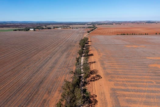 Drone aerial photograph of burnt agricultural fields in regional New South Wales in Australia