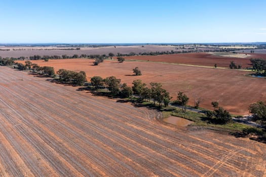 Drone aerial photograph of burnt agricultural fields in regional New South Wales in Australia