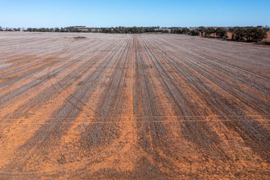 Drone aerial photograph of burnt agricultural fields in regional New South Wales in Australia