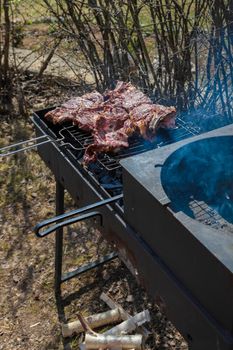 Chunks of meat are fried on a grill on a large black grill. Picnic. Close-up