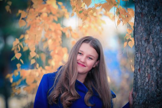 A young girl walks in the autumn park, stands behind a tree. The trees have yellow leaves.