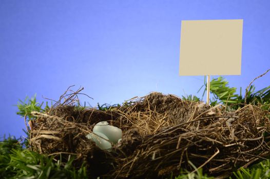 A birds nest with a blank yard sign for your text or property signage to be inserted.